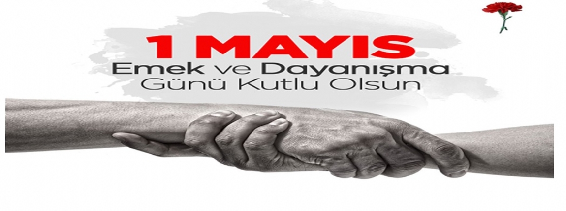 Y�NET�M KURULU